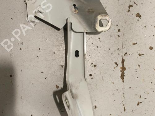 Used Hinge/Door check strap RENAULT MEGANE III Grandtour (KZ0/1) 1.5 dCi (KZ09, KZ0D, KZ1G, KZ29, KZ14, KZ1W, KZ10, KZ1F,... (110 hp) 22574735