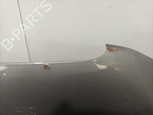 Hood LANCIA DELTA III (844_) 2.0 D Multijet (844.AXD1A, 844.AXM1A) | BP24658610C1 