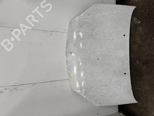 Used Hood RENAULT CLIO II (BB_, CB_) 1.5 dCi (B/C2J) (68 hp) 27370527