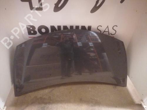 hood-renault-clio-iii-br01-cr01-2005-2006-2007-2008-2009-2010-2011-2012-2013-2014-34586504 main image
