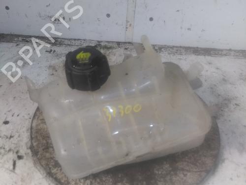 expansion-tank-renault-megane-iii-hatchback-bz01_-b3_-2008-34594577 main image