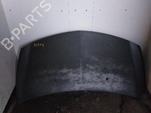 Used Hood RENAULT CLIO III (BR0/1, CR0/1) 1.5 dCi (BR17, CR17) (86 hp) 21804127
