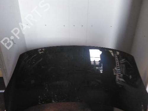 Used Hood RENAULT SCÉNIC III (JZ0/1_) 1.9 dCi (JZ0J, JZ1J, JZ1K, JZ1S) (131 hp) 21119871