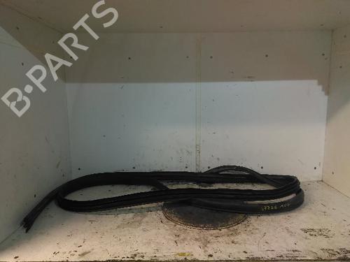 Rubber door seal FIAT TALENTO Bus (296_) 1.6 D | BP23201808C142