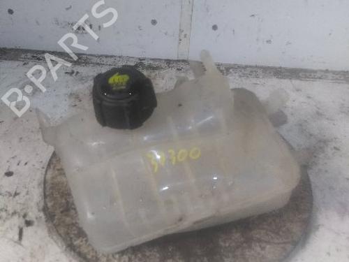 Used Expansion tank RENAULT MEGANE III Hatchback (BZ0/1_, B3_) 1.5 dCi (BZ09, BZ0D, BZ1W, BZ29, BZ14) (110 hp) 20639252