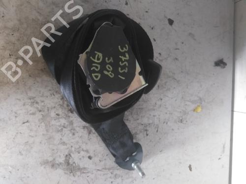 rear-right-belt-tensioner-peugeot-508-sw-i-8e_-2010-2011-2012-2013-2014-2015-2016-2017-2018-34601754 main image
