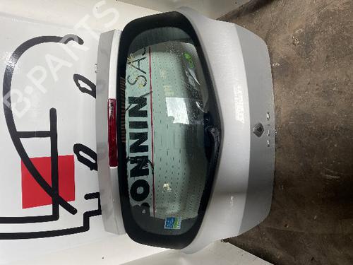 Used Tailgate RENAULT CLIO III (BR0/1, CR0/1) 1.2 16V (BR02, BR0J, BR11, CR02, CR0J, CR11) (75 hp) 24133841