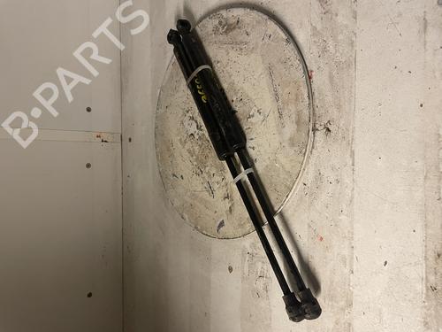 tailgate-lift-support-renault-kangoo-express-fw01_-2008-34590156 main image