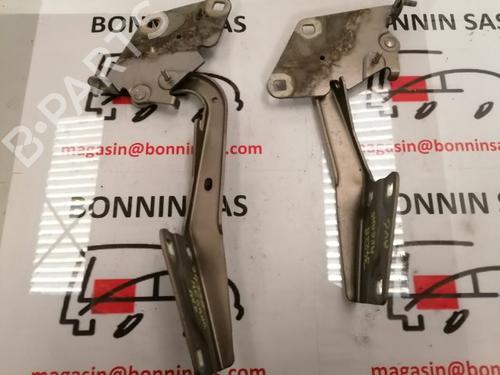 Used Hinge/Door check strap RENAULT MEGANE III Hatchback (BZ0/1_, B3_) 1.5 dCi (BZ09, BZ0D, BZ1W, BZ29, BZ14) (110 hp) 21079164