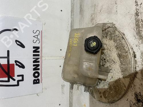 Used Expansion tank RENAULT SCÉNIC III (JZ0/1_) 1.5 dCi (106 hp) 21531802