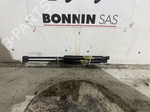 tailgate-lift-support-renault-kangoo-express-fw01_-2008-34591414 main image