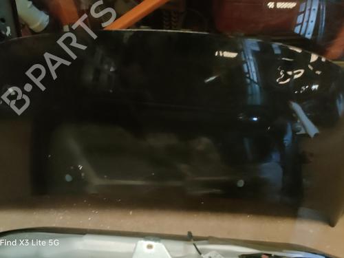 Used Hood Hood PEUGEOT 207 CC (WD_) 1.6 HDi (109 hp) 34588746 34588746