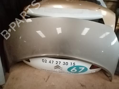 hood-renault-scenic-ii-jm01_-2003-2004-2005-2006-2007-2008-2009-2010-34586355 main image
