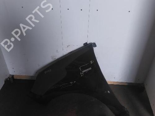 Used Left front fenders RENAULT SCÉNIC III (JZ0/1_) 1.9 dCi (JZ0J, JZ1J, JZ1K, JZ1S) (131 hp) 21119870