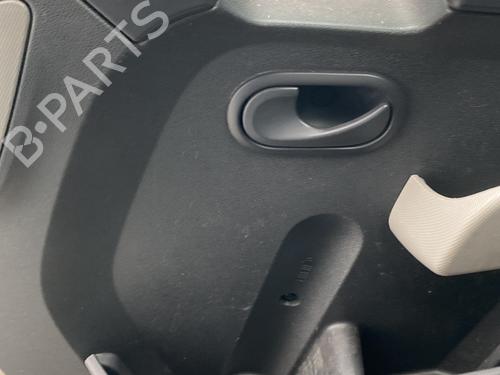 Front left panel RENAULT MASTER III Van (FV) 2.3 dCi 145 FWD (FV0E, FV0F, FV0H, FV02, FV0M, FV0S,... | BP29464930C58 