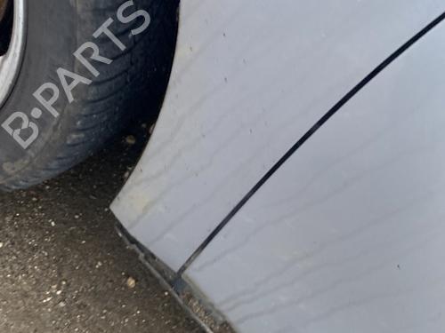 Left front fenders MITSUBISHI GRANDIS (NA_W) 2.0 DI-D (NA8W) | BP30646596C41