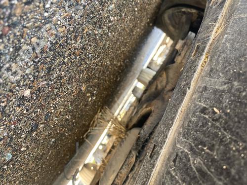 Right front driveshaft NISSAN PULSAR Hatchback (C13) 1.5 dCi | BP37706977M39 - Image 2