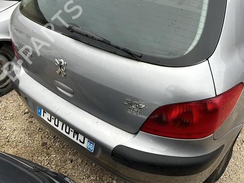 Bakluke CC/Kombi-Kupé PEUGEOT 307 (3A/C) 2.0 HDi 110 | BP19910997C6 