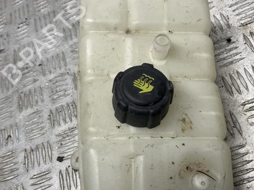 Ekpansionstank RENAULT MEGANE IV Hatchback (B9A/M/N_) 1.5 dCi 110 (B9A3) | BP29854566C120
