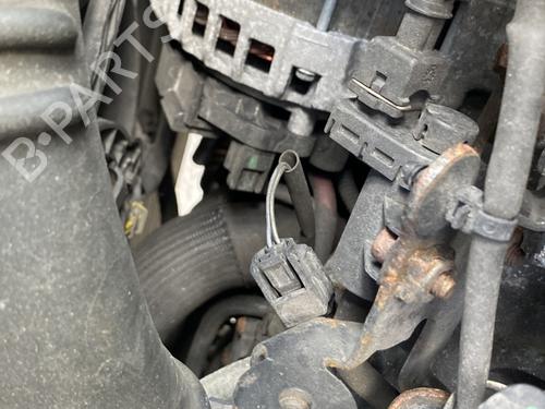 BP25898546M7 main image