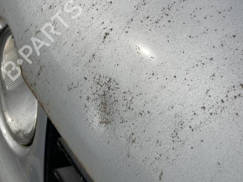 Hood VW POLO IV (9N_, 9A_) 1.2 | BP19905867C1 