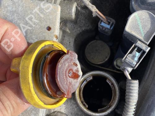 Engine RENAULT LAGUNA II (BG0/1_) 2.0 16V (BG00, BG0K, BG0P, BG0W) | BP30133195M1