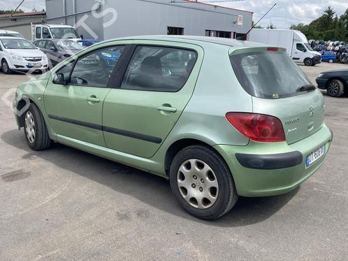 Right rear door PEUGEOT 307 (3A/C) 2.0 HDi 90 | BP19905881C5 