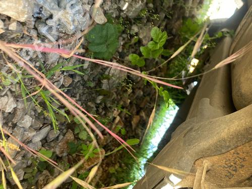 Used Rear axle Rear axle 36030398 36030398