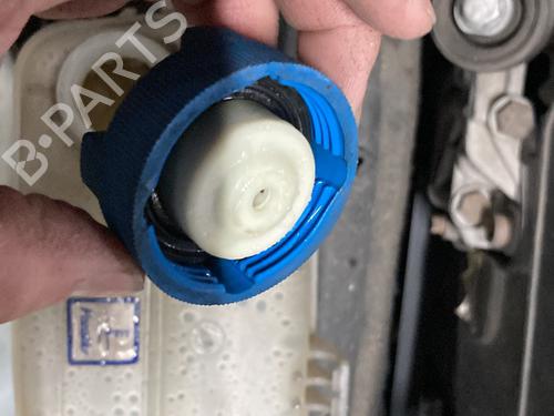 Engine FIAT BRAVA (182_) 1.9 JTD | BP21488000M1 