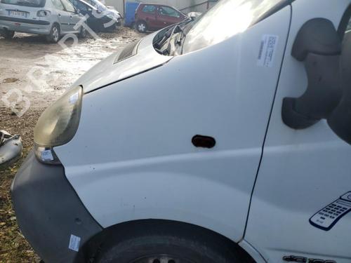 Left front fenders NISSAN PRIMASTAR Van (X83) 1.9 dCi 100 | BP22117594C41