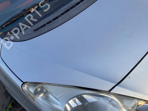 Hood PEUGEOT 1007 (KM_) 1.4 | BP21666250C1 