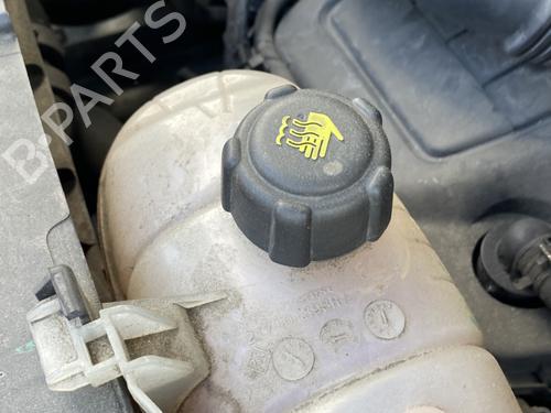 Used Expansion tank RENAULT TRAFIC III Van (FG_) 1.6 dCi 125 (FGMH) (125 hp) 25898576