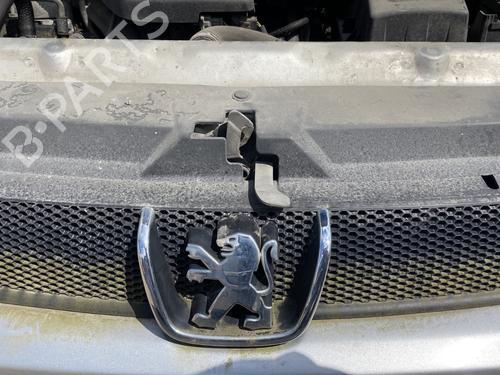 Grille PEUGEOT 406 (8B) 1.8 16V | BP25132060C40 