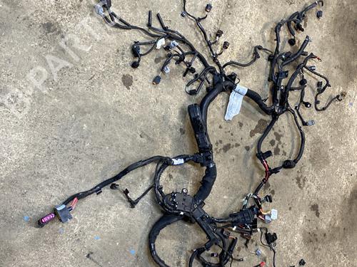 Ledningsnet RENAULT SCÉNIC IV (J9_) 1.7 Blue dCi 120 (J9A7, J9A8) (120 hp) 25271283