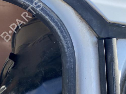 Rubber door seal FORD TRANSIT CONNECT V408 Box Body/MPV 1.5 TDCi | BP24802921C142