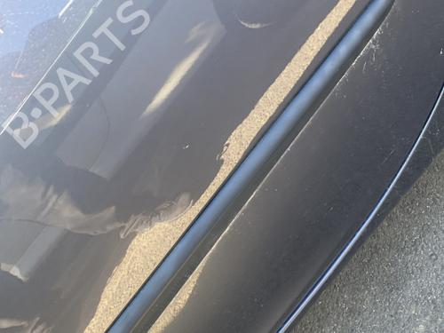 Used Door moulding trim RENAULT CLIO III (BR0/1, CR0/1) 1.5 dCi (BR17, CR17) (86 hp) 28965255