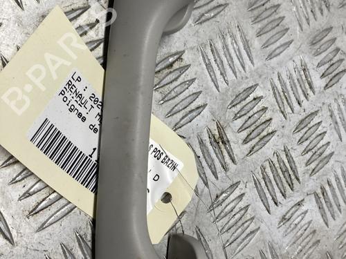 Maniglia interna del tetto RENAULT MEGANE IV Hatchback (B9A/M/N_) 1.5 Blue dCi 115 (B9A6) | BP29918741I35 