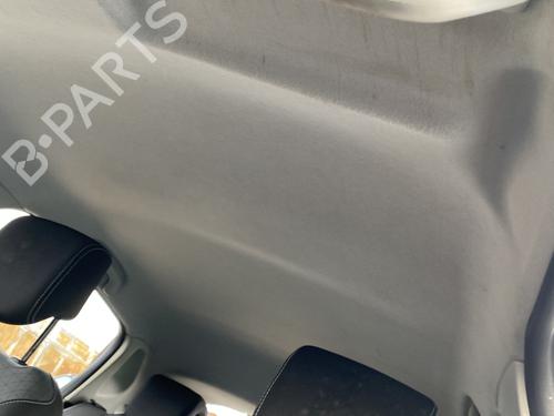 Interior roof RENAULT CLIO IV (BH_) 1.5 dCi 75 | BP30615764I12