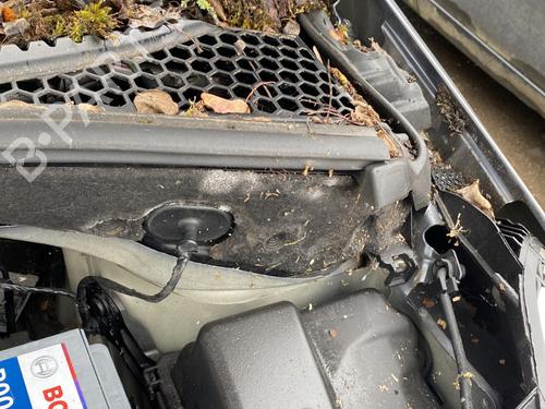 BP32174055E1 main image