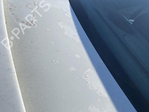Tailgate PEUGEOT 406 (8B) 2.0 HDI 110 | BP25270589C6 