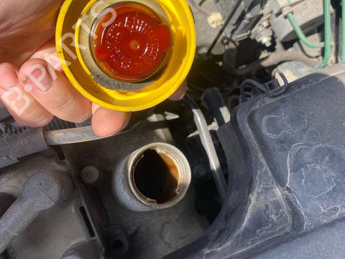 Engine DACIA SANDERO 1.4 (BS0C, BS0A, BS0G, BS1F, BS0E) | BP37156825M1 - Image 3