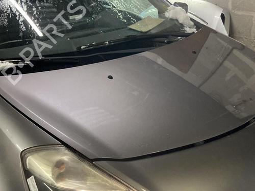 Hood RENAULT CLIO III (BR0/1, CR0/1) 1.5 dCi (BR17, CR17) | BP22115887C1