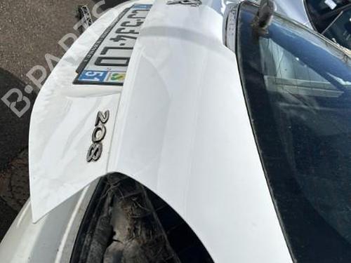 Tailgate PEUGEOT 208 I (CA_, CC_) 1.4 HDi | BP22119489C6