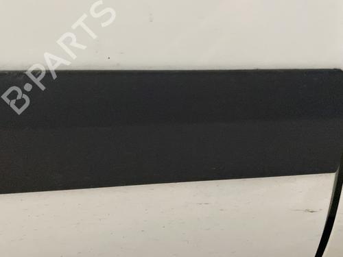door-moulding-trim-fiat-doblo-cargo-263_-2010-29864522 main image
