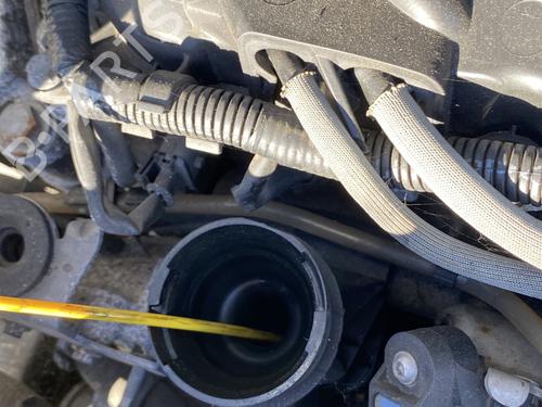 Engine RENAULT SCÉNIC II (JM0/1_) 2.0 dCi (JM1K) | BP29013077M1