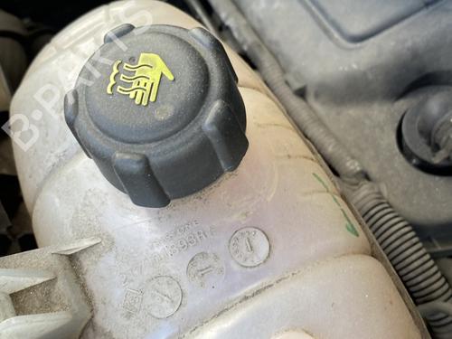 Expansion tank RENAULT TRAFIC III Van (FG_) 1.6 dCi 125 (FGMH) | BP25898576C120 