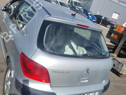 Bakluke CC/Kombi-Kupé PEUGEOT 307 (3A/C) 1.6 HDi (90 hp) 19911754