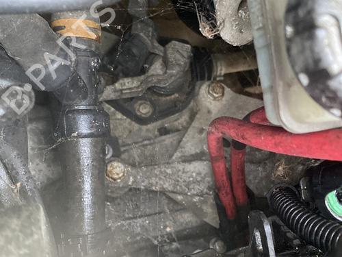 Used Gearbox RENAULT MEGANE III Hatchback (BZ0/1_, B3_) 1.5 dCi (BZ09, BZ0D, BZ1W, BZ29, BZ14) (110 hp) 31941450