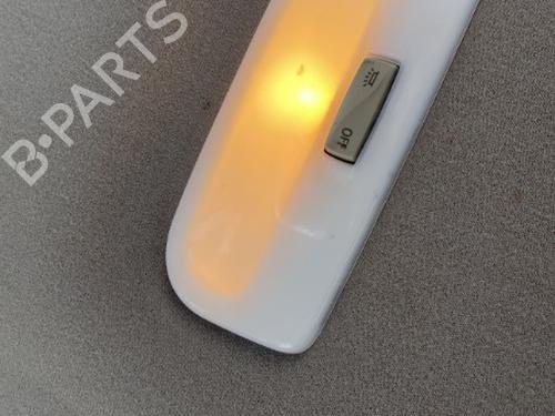Used Interior roof light RENAULT SCÉNIC III (JZ0/1_) 1.5 dCi (JZ02, JZ0R) (95 hp) 19907024