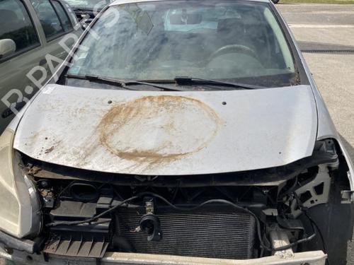 Hood RENAULT CLIO III (BR0/1, CR0/1) 1.5 dCi (C/BR0G, C/BR1G) | BP19906709C1 